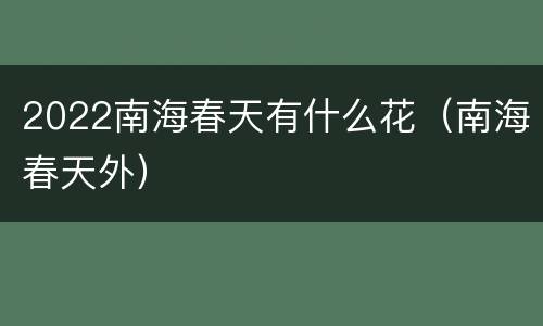 2022南海春天有什么花（南海春天外）