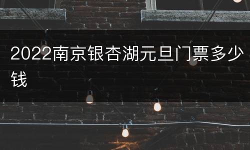 2022南京银杏湖元旦门票多少钱