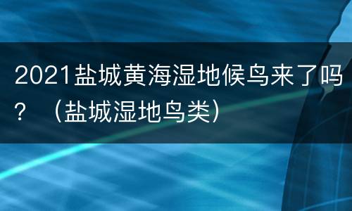 2021盐城黄海湿地候鸟来了吗？（盐城湿地鸟类）