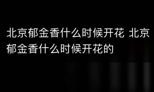 北京郁金香什么时候开花 北京郁金香什么时候开花的
