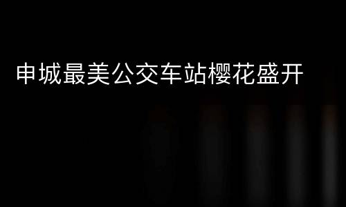 申城最美公交车站樱花盛开