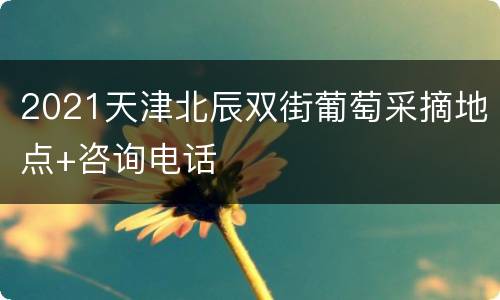 2021天津北辰双街葡萄采摘地点+咨询电话