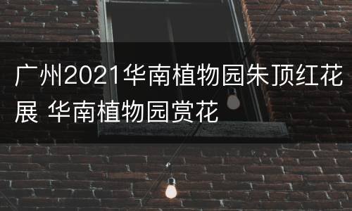 广州2021华南植物园朱顶红花展 华南植物园赏花