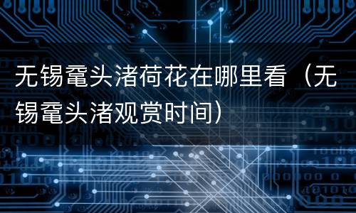 无锡鼋头渚荷花在哪里看（无锡鼋头渚观赏时间）