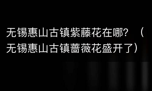 无锡惠山古镇紫藤花在哪？（无锡惠山古镇蔷薇花盛开了）