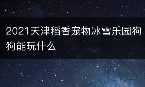 2021天津稻香宠物冰雪乐园狗狗能玩什么