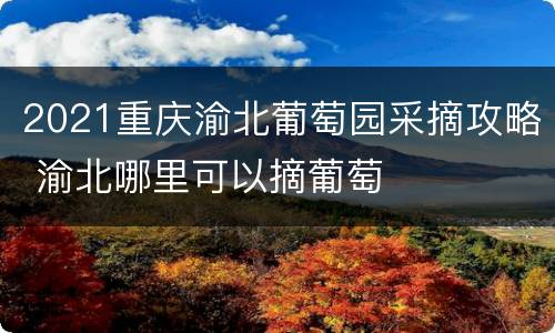 2021重庆渝北葡萄园采摘攻略 渝北哪里可以摘葡萄