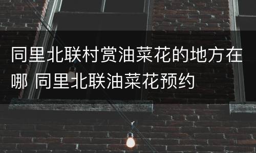 同里北联村赏油菜花的地方在哪 同里北联油菜花预约