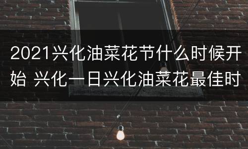 2021兴化油菜花节什么时候开始 兴化一日兴化油菜花最佳时间2021