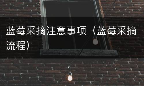蓝莓采摘注意事项（蓝莓采摘流程）