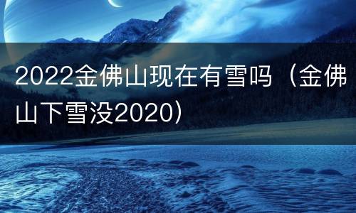 2022金佛山现在有雪吗（金佛山下雪没2020）