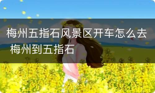 梅州五指石风景区开车怎么去 梅州到五指石