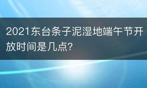 2021东台条子泥湿地端午节开放时间是几点？