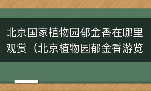 北京国家植物园郁金香在哪里观赏（北京植物园郁金香游览）