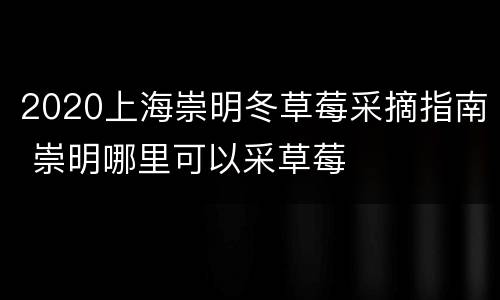 2020上海崇明冬草莓采摘指南 崇明哪里可以采草莓