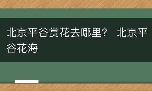 北京平谷赏花去哪里？ 北京平谷花海
