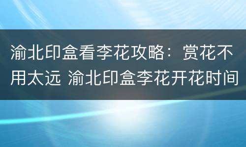 渝北印盒看李花攻略：赏花不用太远 渝北印盒李花开花时间