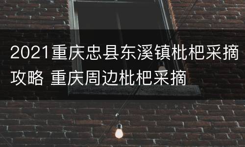 2021重庆忠县东溪镇枇杷采摘攻略 重庆周边枇杷采摘