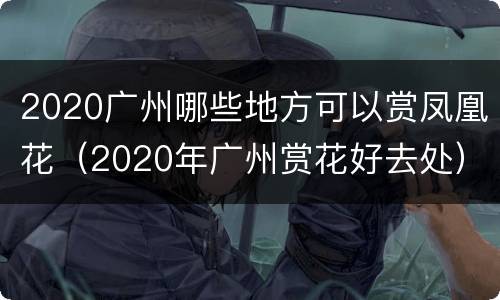 2020广州哪些地方可以赏凤凰花（2020年广州赏花好去处）