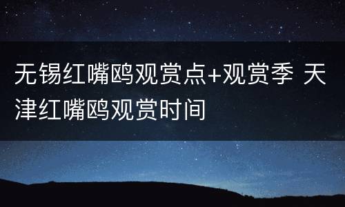 无锡红嘴鸥观赏点+观赏季 天津红嘴鸥观赏时间