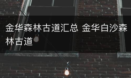 金华森林古道汇总 金华白沙森林古道
