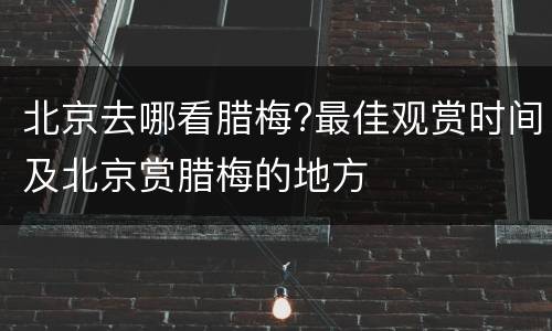北京去哪看腊梅?最佳观赏时间及北京赏腊梅的地方