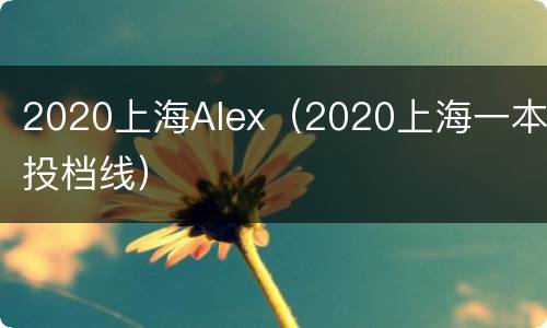 2020上海Alex（2020上海一本投档线）