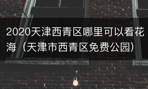 2020天津西青区哪里可以看花海（天津市西青区免费公园）