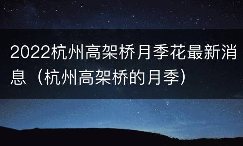2022杭州高架桥月季花最新消息（杭州高架桥的月季）