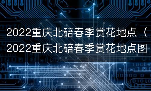 2022重庆北碚春季赏花地点（2022重庆北碚春季赏花地点图）