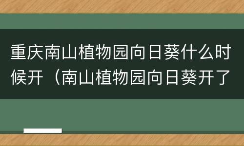 重庆南山植物园向日葵什么时候开（南山植物园向日葵开了吗）