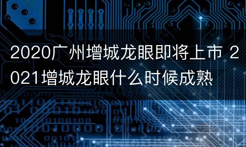 2020广州增城龙眼即将上市 2021增城龙眼什么时候成熟