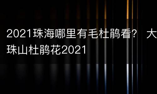 2021珠海哪里有毛杜鹃看？ 大珠山杜鹃花2021