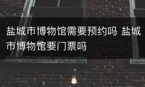 盐城市博物馆需要预约吗 盐城市博物馆要门票吗