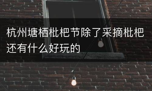 杭州塘栖枇杷节除了采摘枇杷还有什么好玩的