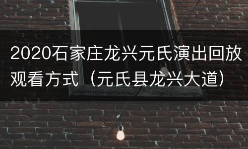 2020石家庄龙兴元氏演出回放观看方式（元氏县龙兴大道）