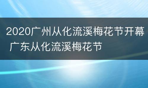 2020广州从化流溪梅花节开幕 广东从化流溪梅花节