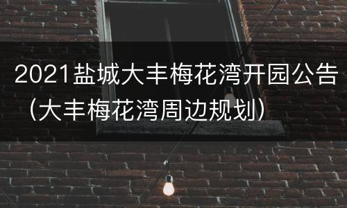 2021盐城大丰梅花湾开园公告（大丰梅花湾周边规划）
