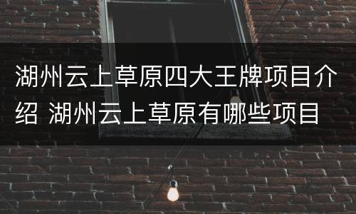 湖州云上草原四大王牌项目介绍 湖州云上草原有哪些项目