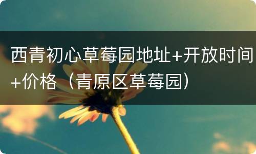 西青初心草莓园地址+开放时间+价格（青原区草莓园）