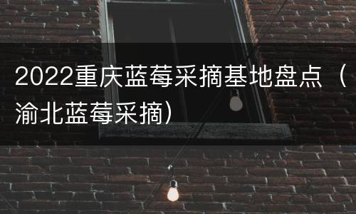 2022重庆蓝莓采摘基地盘点（渝北蓝莓采摘）