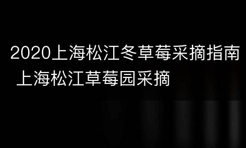 2020上海松江冬草莓采摘指南 上海松江草莓园采摘
