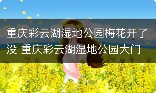 重庆彩云湖湿地公园梅花开了没 重庆彩云湖湿地公园大门