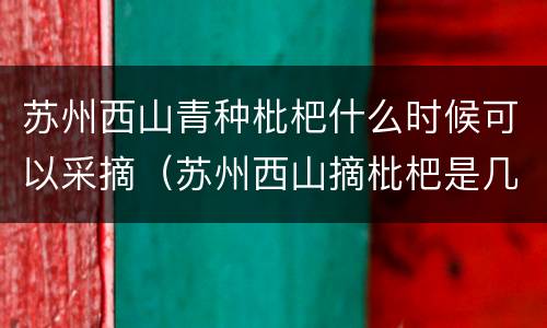 苏州西山青种枇杷什么时候可以采摘（苏州西山摘枇杷是几月份）