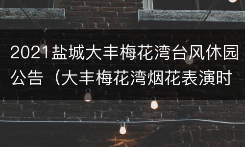 2021盐城大丰梅花湾台风休园公告（大丰梅花湾烟花表演时间）