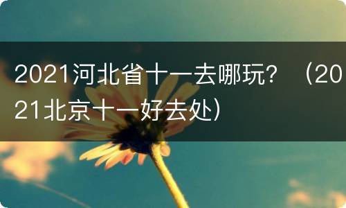 2021河北省十一去哪玩？（2021北京十一好去处）