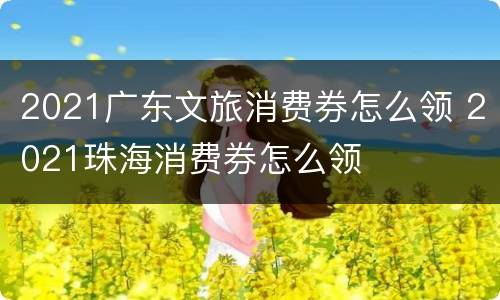 2021广东文旅消费券怎么领 2021珠海消费券怎么领