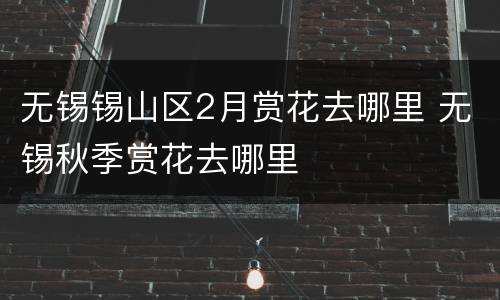 无锡锡山区2月赏花去哪里 无锡秋季赏花去哪里