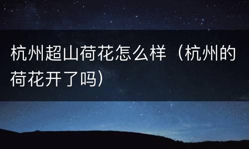 杭州超山荷花怎么样（杭州的荷花开了吗）