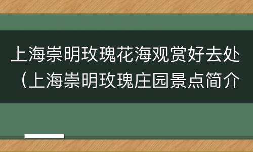 上海崇明玫瑰花海观赏好去处（上海崇明玫瑰庄园景点简介）
